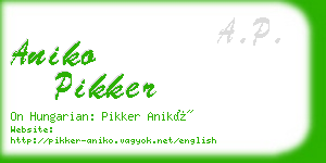 aniko pikker business card